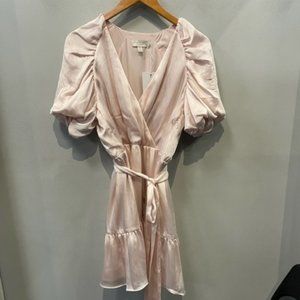 Ted Baker Blush Dress